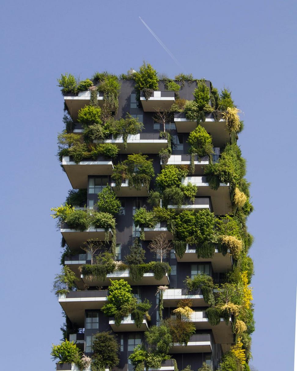 Sustainable design project