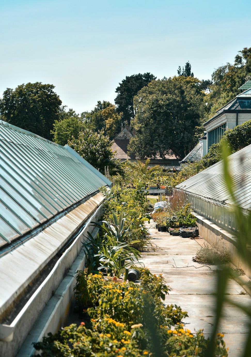 Green Roof Design