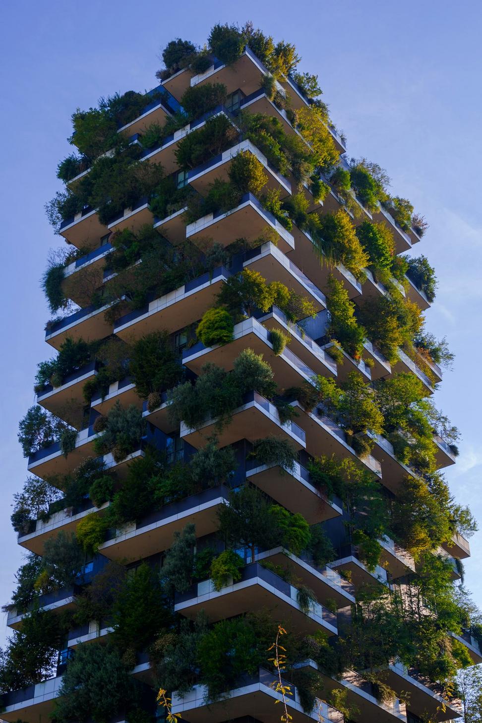 Sustainable Design Consultation
